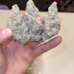 Strawberry Panda Gelato