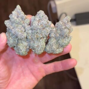 Alternative view of GORILLA GLUE