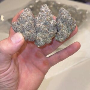 GLITTER BOMB #2 💣  (THE LEGENDARY FLAVOR IS BACK!)