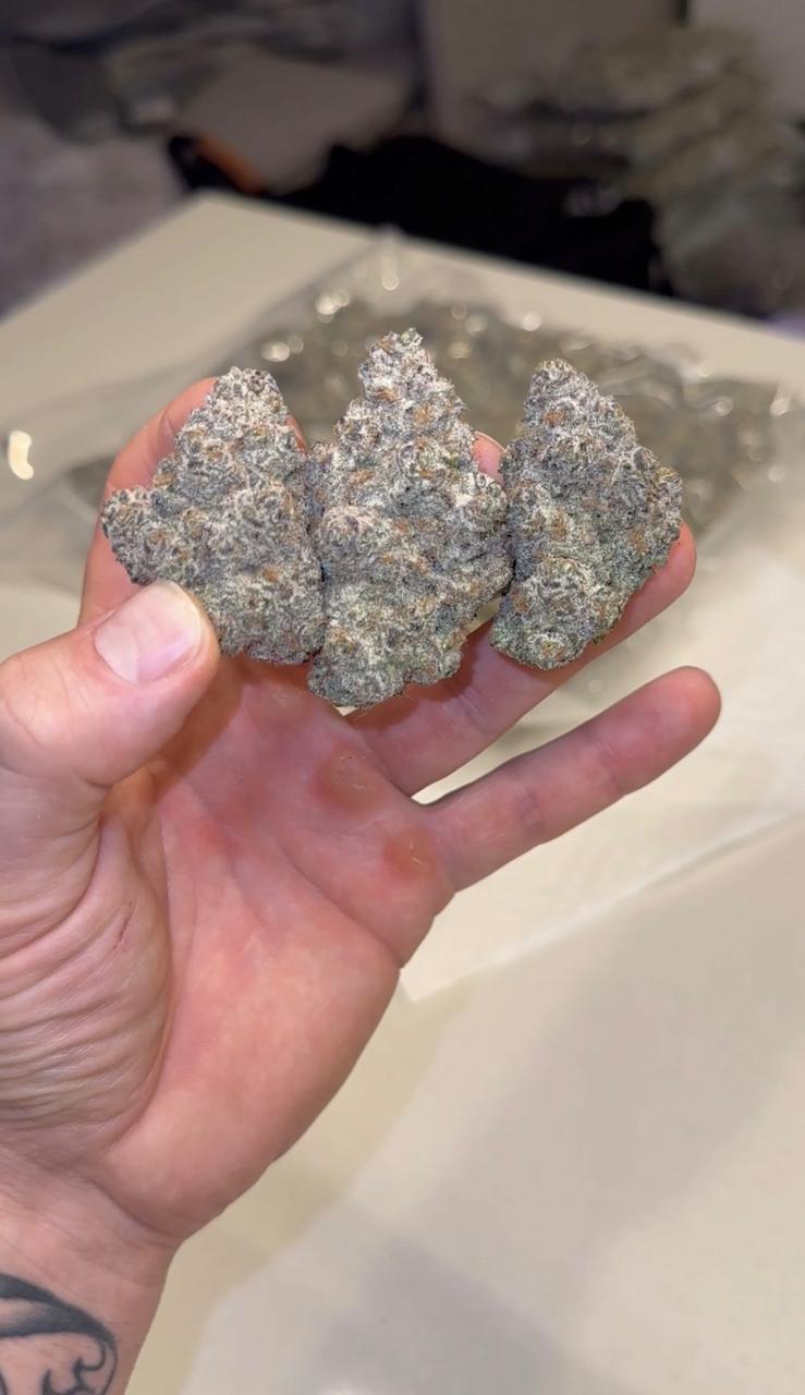 💥☄️RED RUNTZ ☄️💥