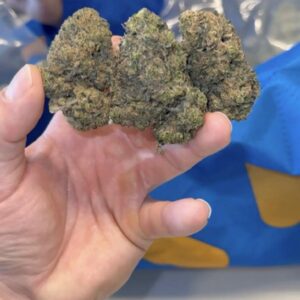 💥🤑 LOWS 🤑💥