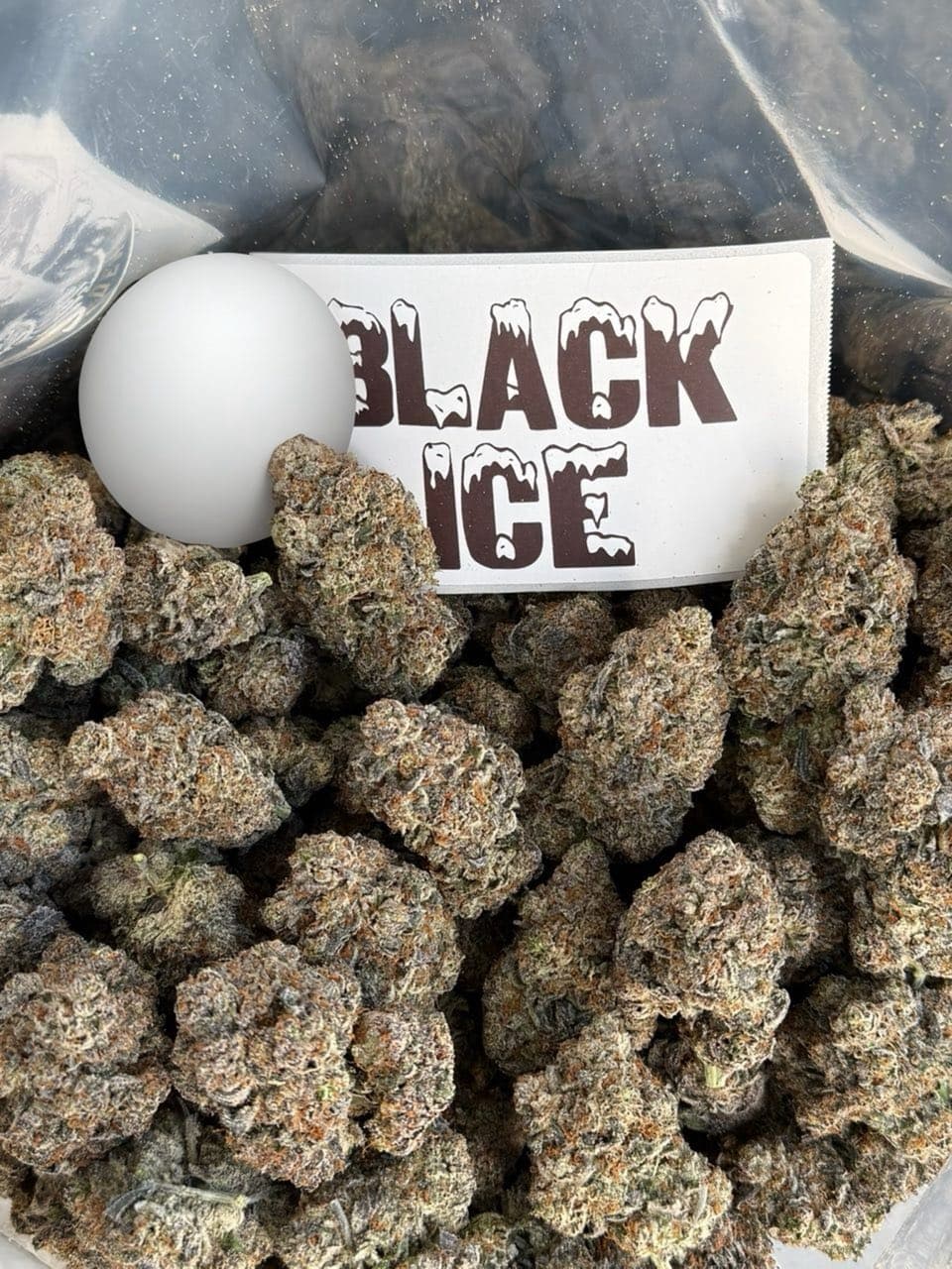BLACK ICE