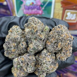 Sweetz Exotics