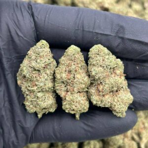 Alternative view of Vanilla Gelato 41