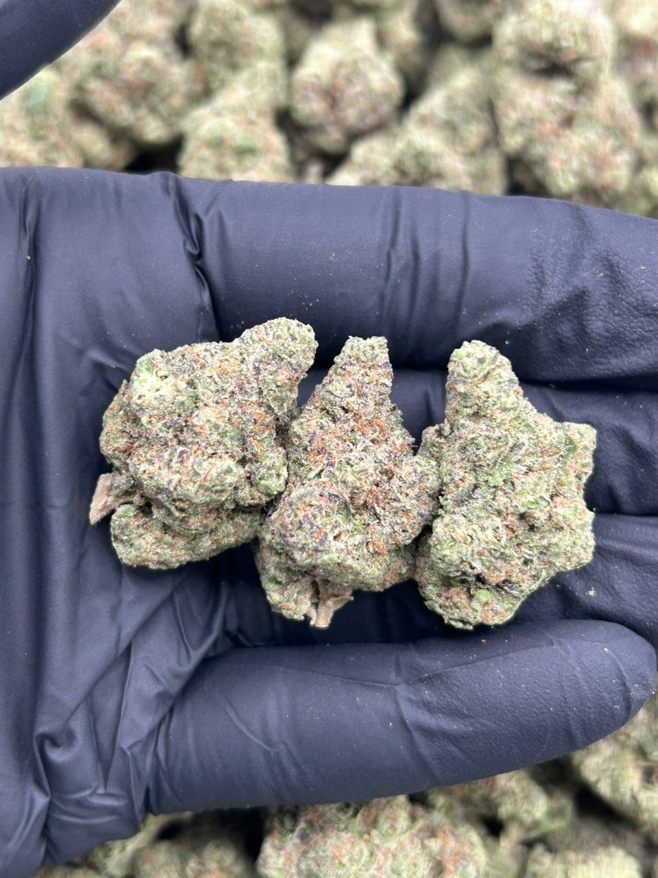 Fuel OG - Image 2