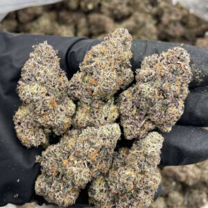 Alternative view of Hawaiian Runtz