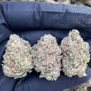 Alternative view of Pluto Kush
