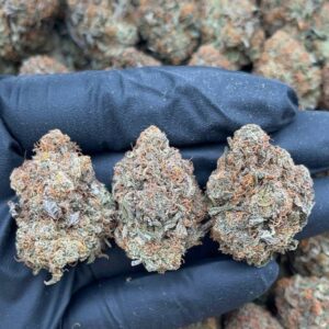 Alternative view of Platinum Bubba