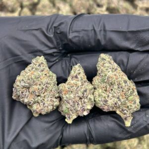 Alternative view of Gucci Fruit