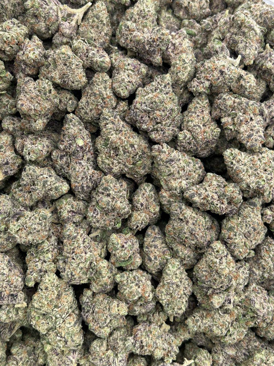 Gucci Fruit