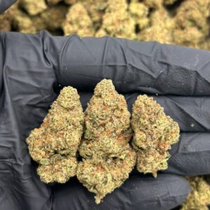 Alternative view of Mango Madness