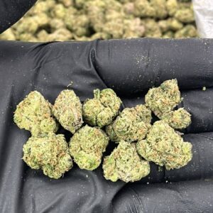 Alternative view of Cherry Popperz