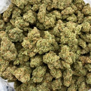 Candy Jack