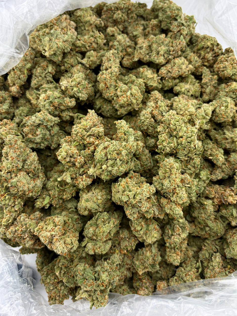Candy Jack