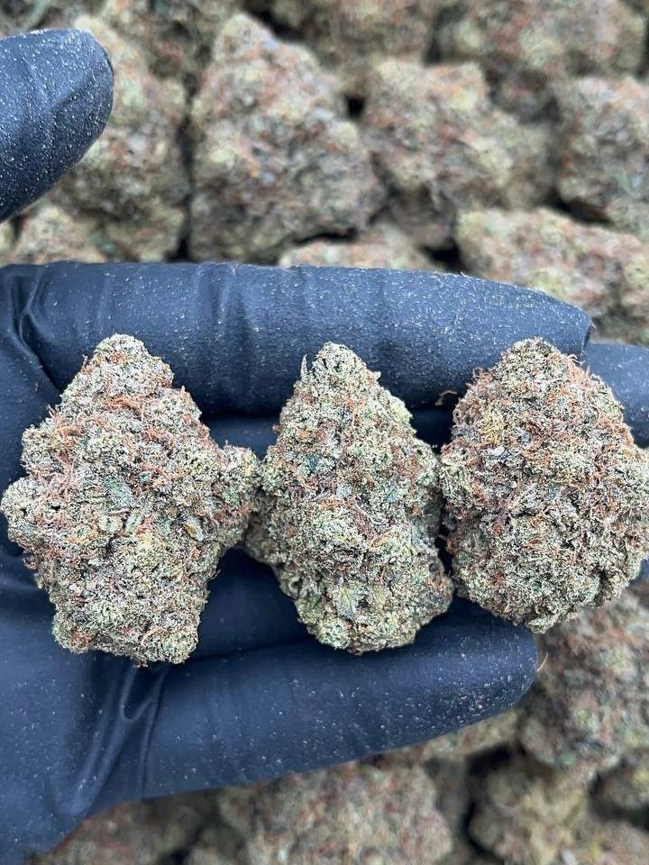 Khalifa Kush - Image 2