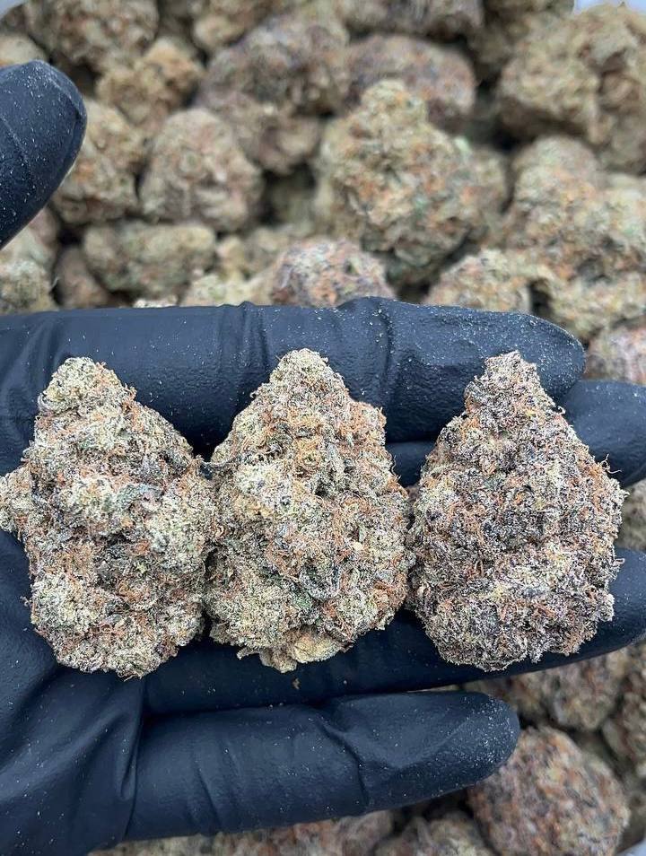 Pineapple Express - Image 2