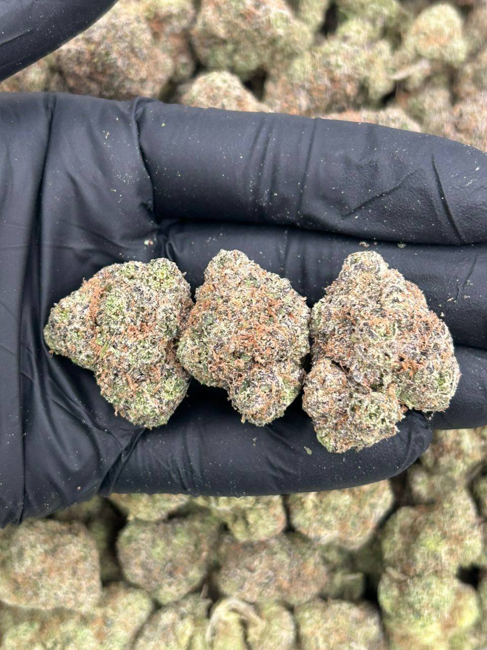 Cloud 9 Candy - Image 2