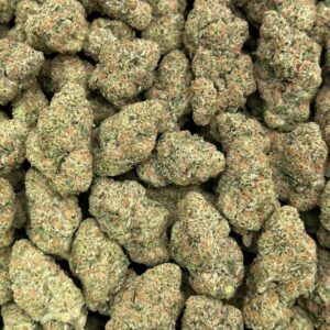 Candy Skunk