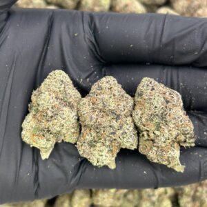 Alternative view of Blueberry