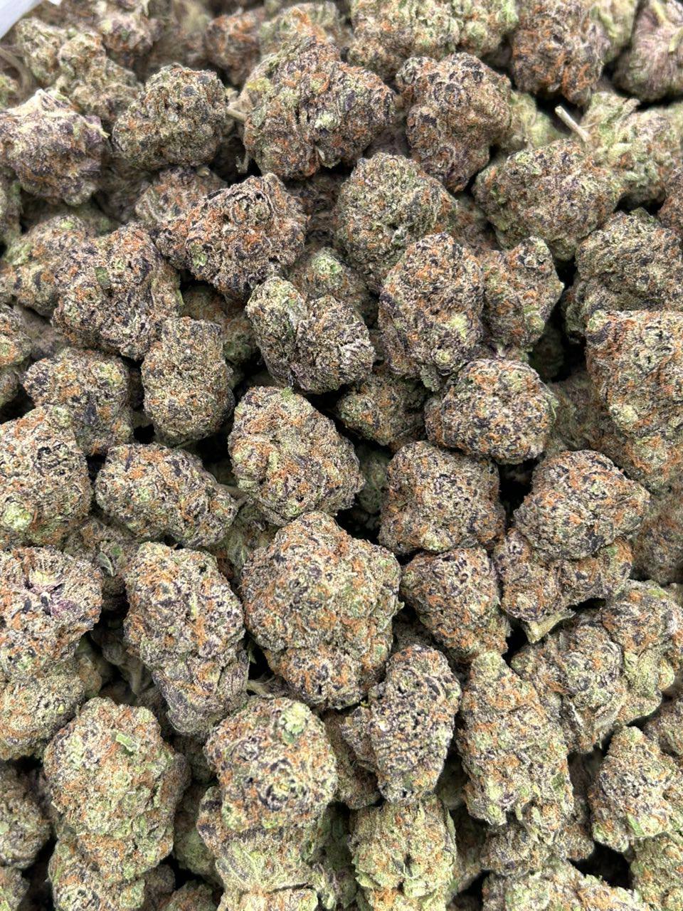 Gelato Pop