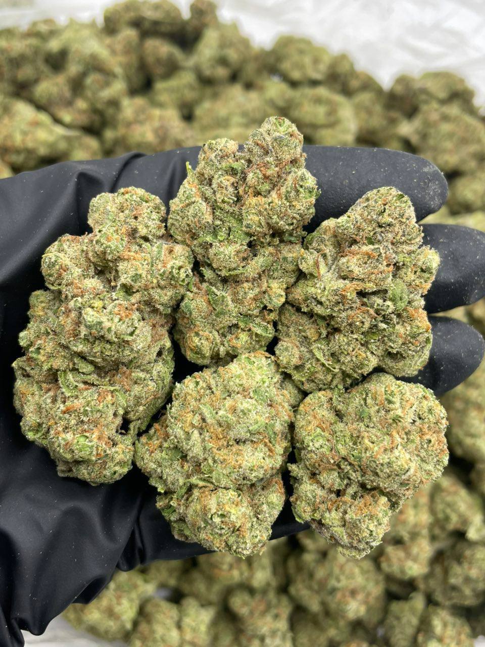 Sour Cotton Candy - Image 2