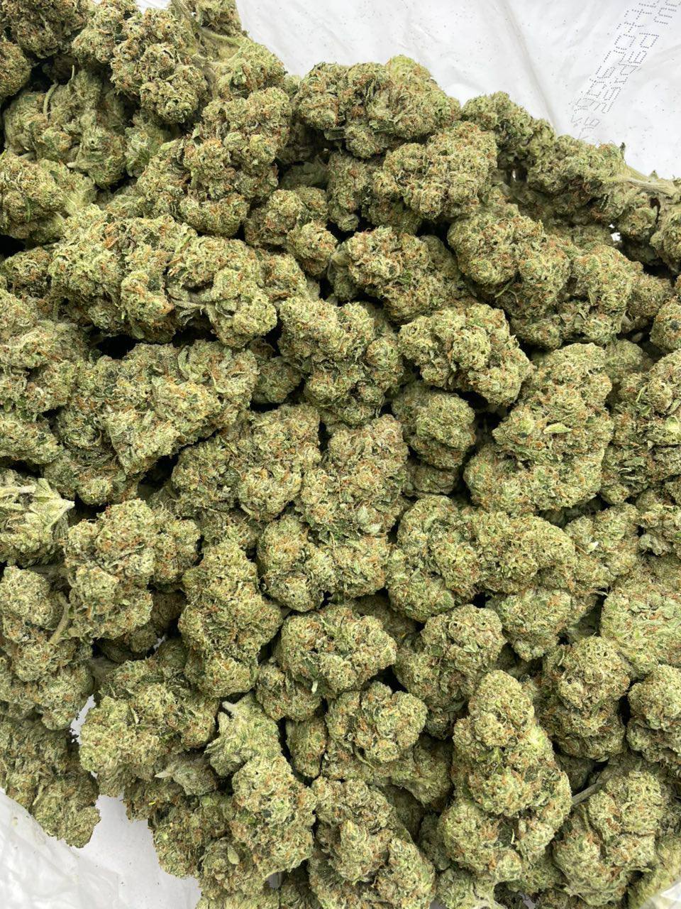 Gorilla Glue