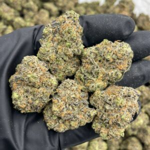 Alternative view of Green Crack