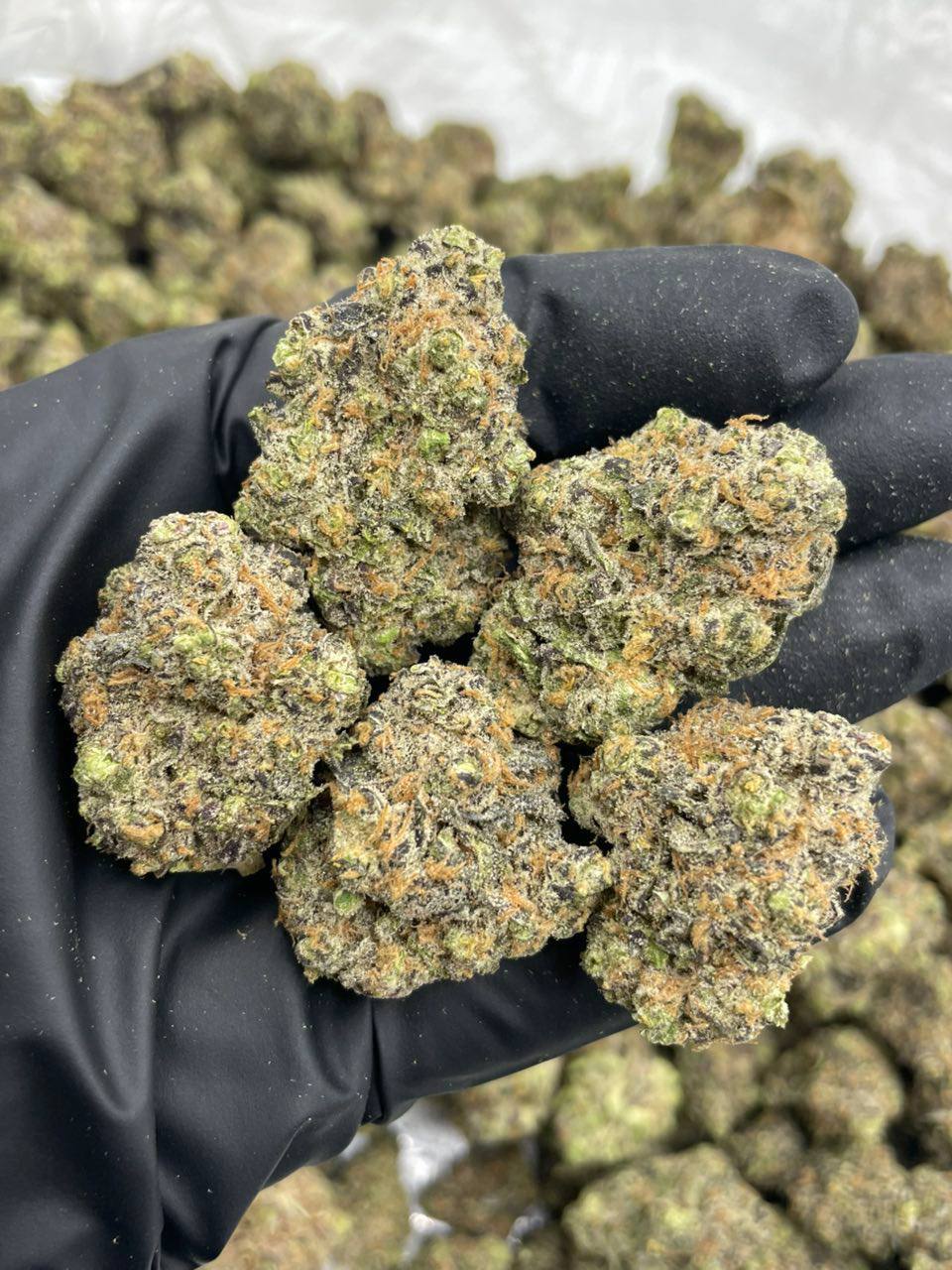 Green Crack - Image 2