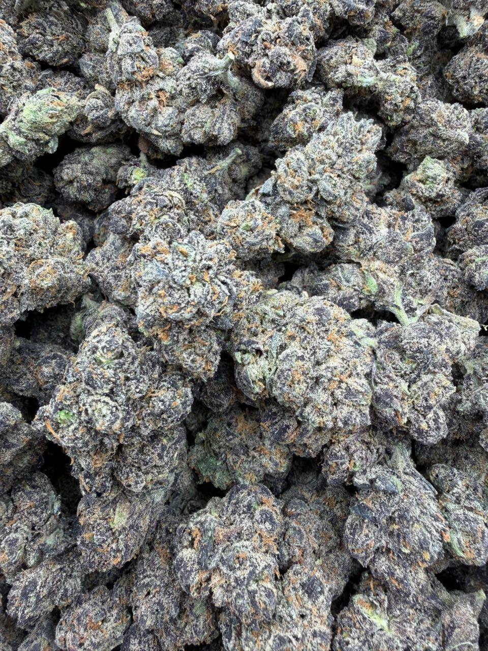Sour OG