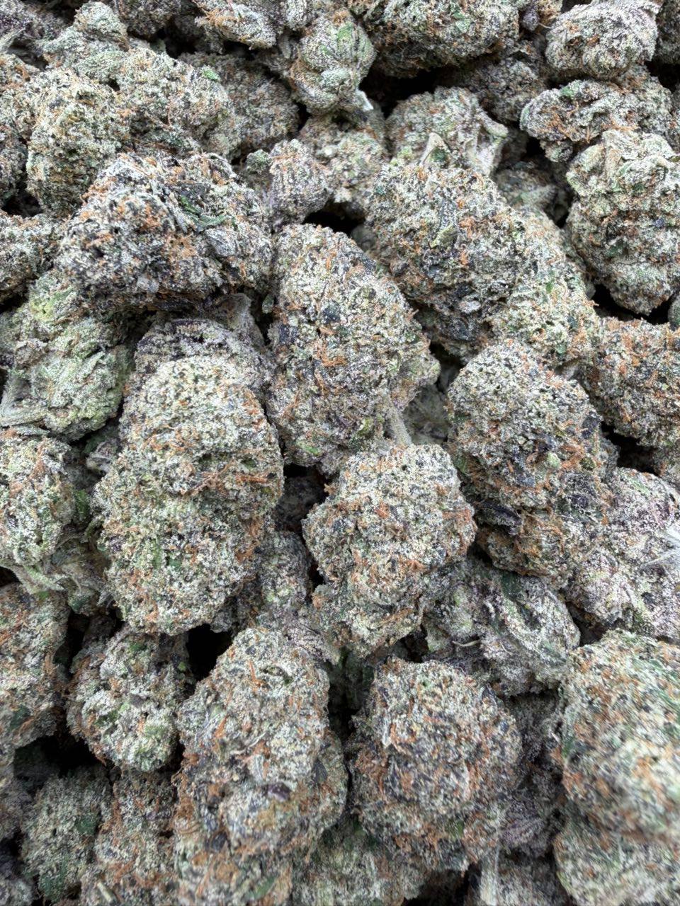 Electric Bubblegum