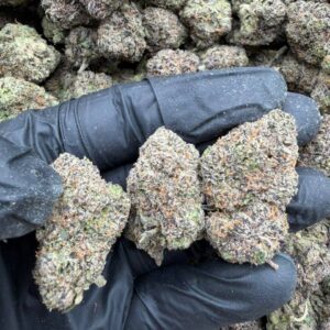 Alternative view of White widow