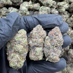 Alternative view of Grapes Candy Gelato