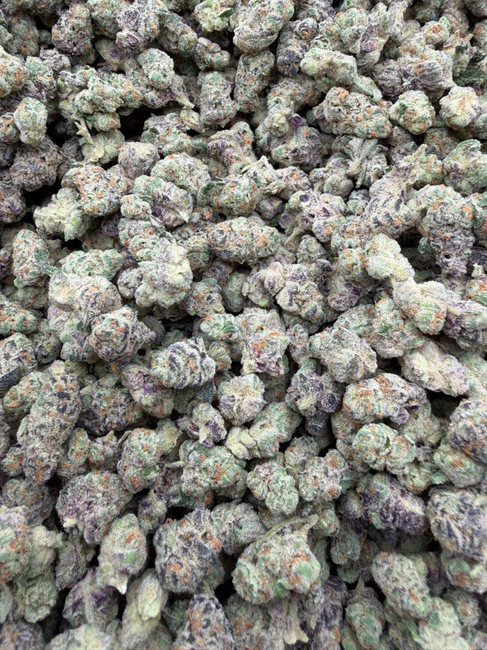 Glitter Bomb Exotic Smells