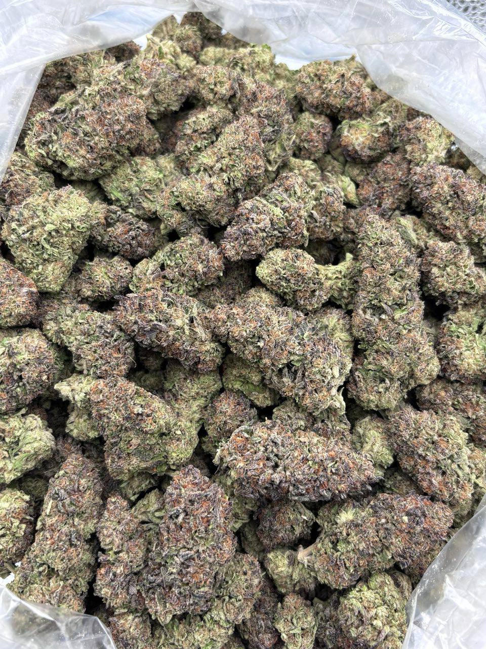 Pink Zoap