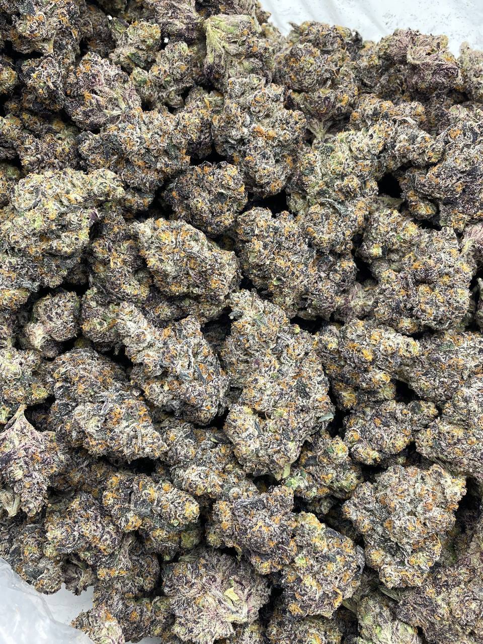 Sour Sherbet