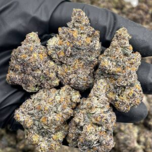 Alternative view of Sour Sherbet