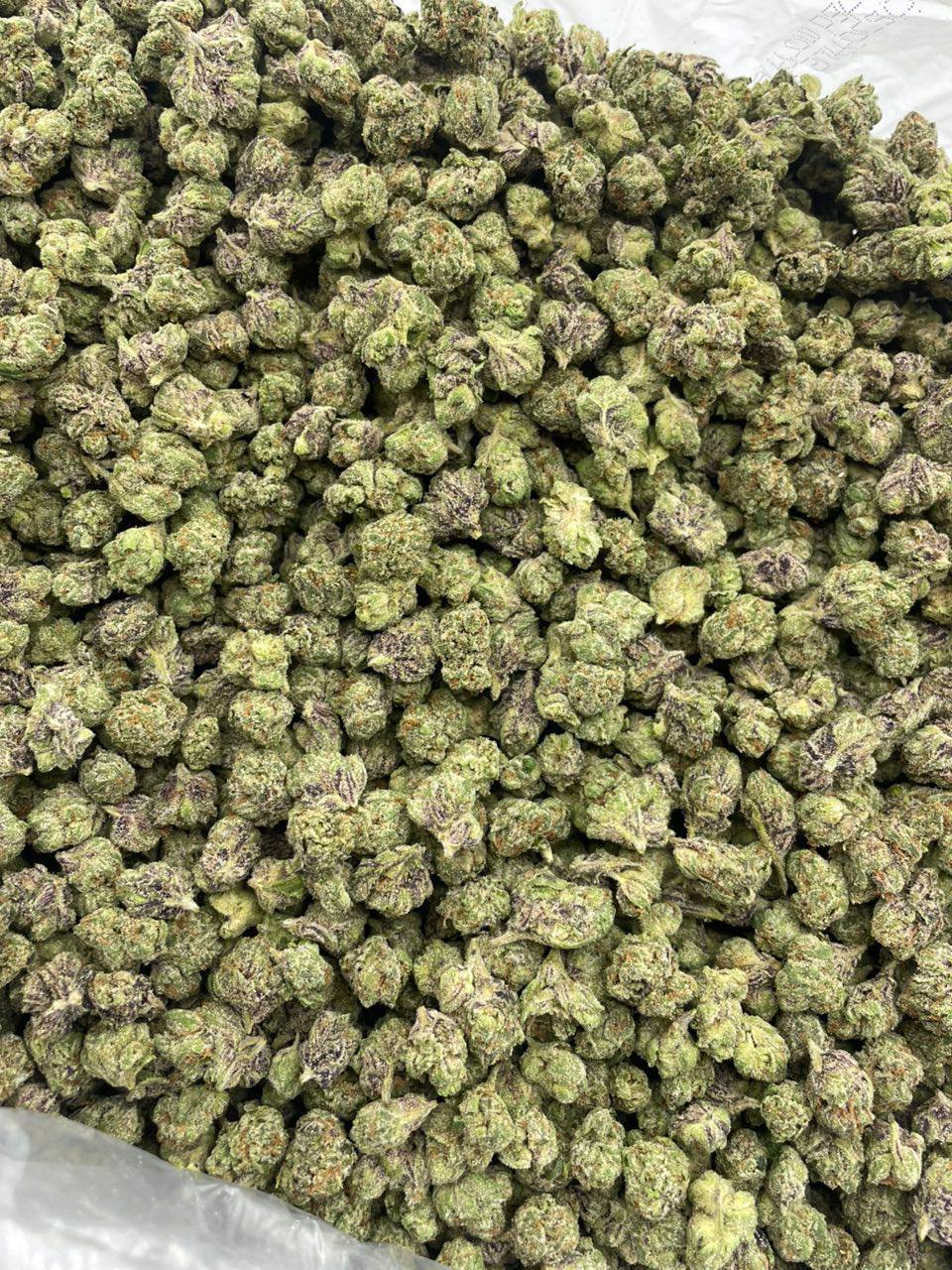 White Cherry Gelato