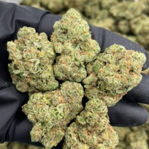 Alternative view of Sour Tropicana