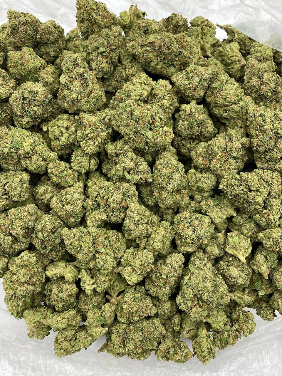 Billy Kimber OG