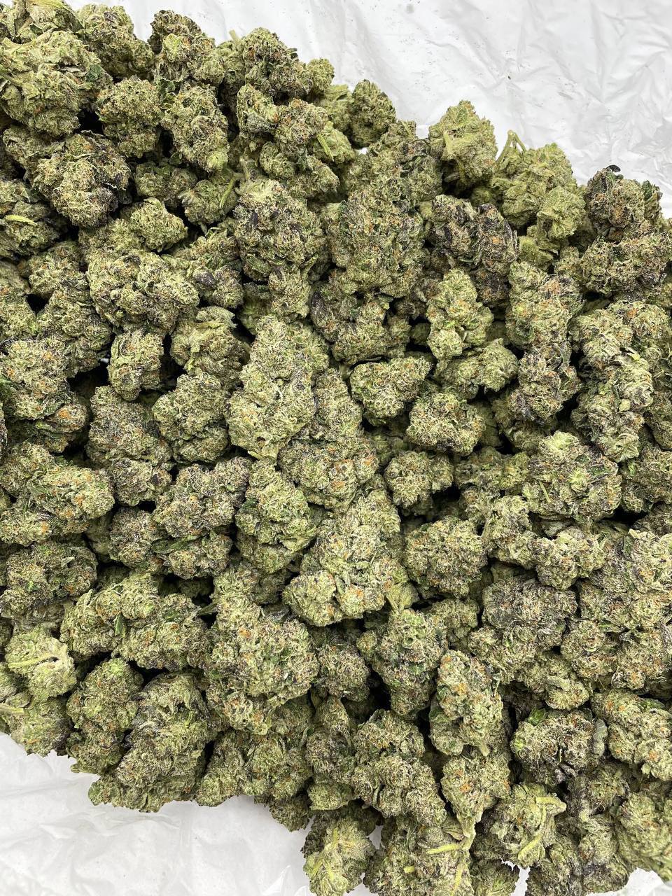 Grape Gobstopper