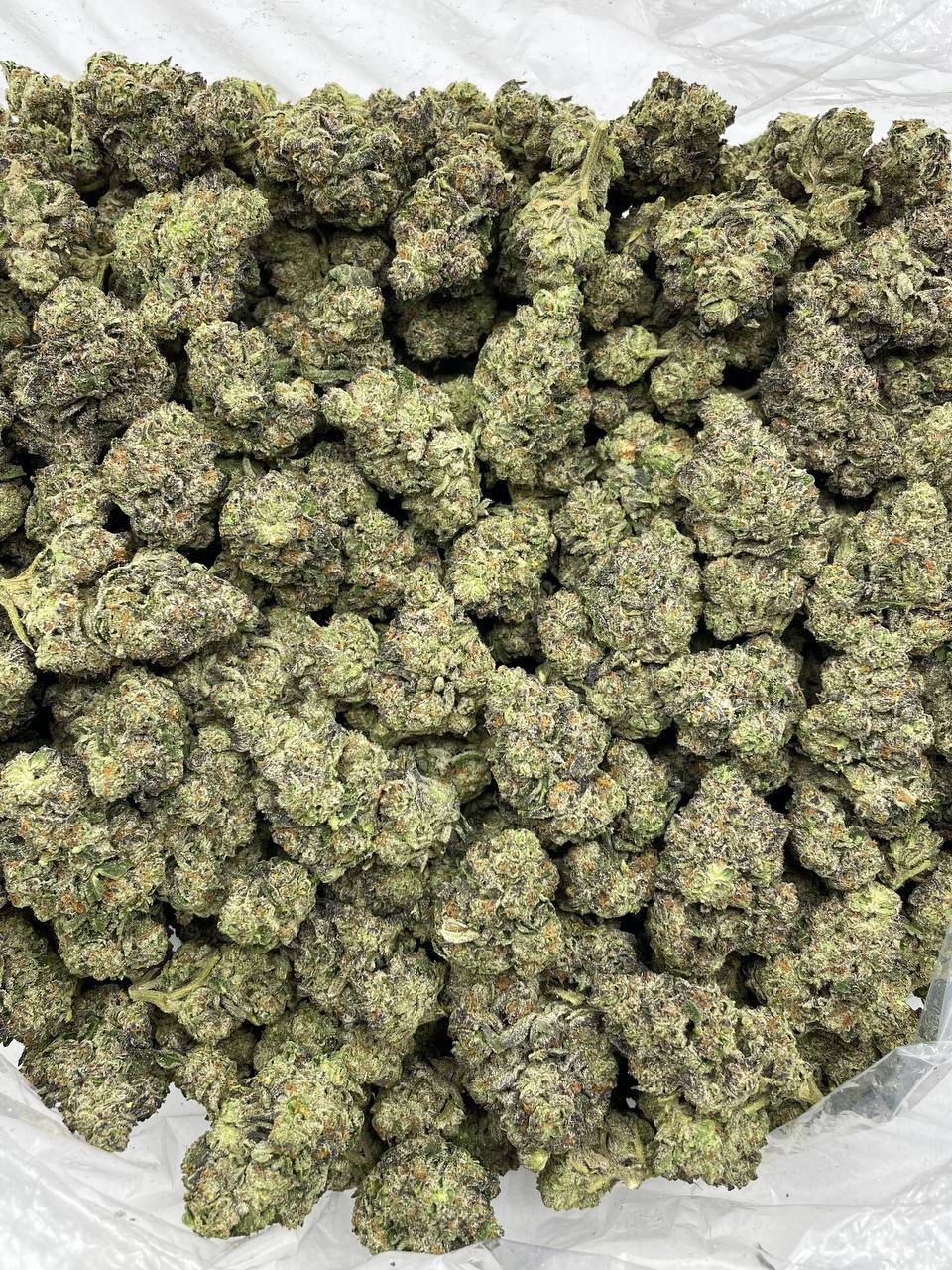Bubblegum Berry