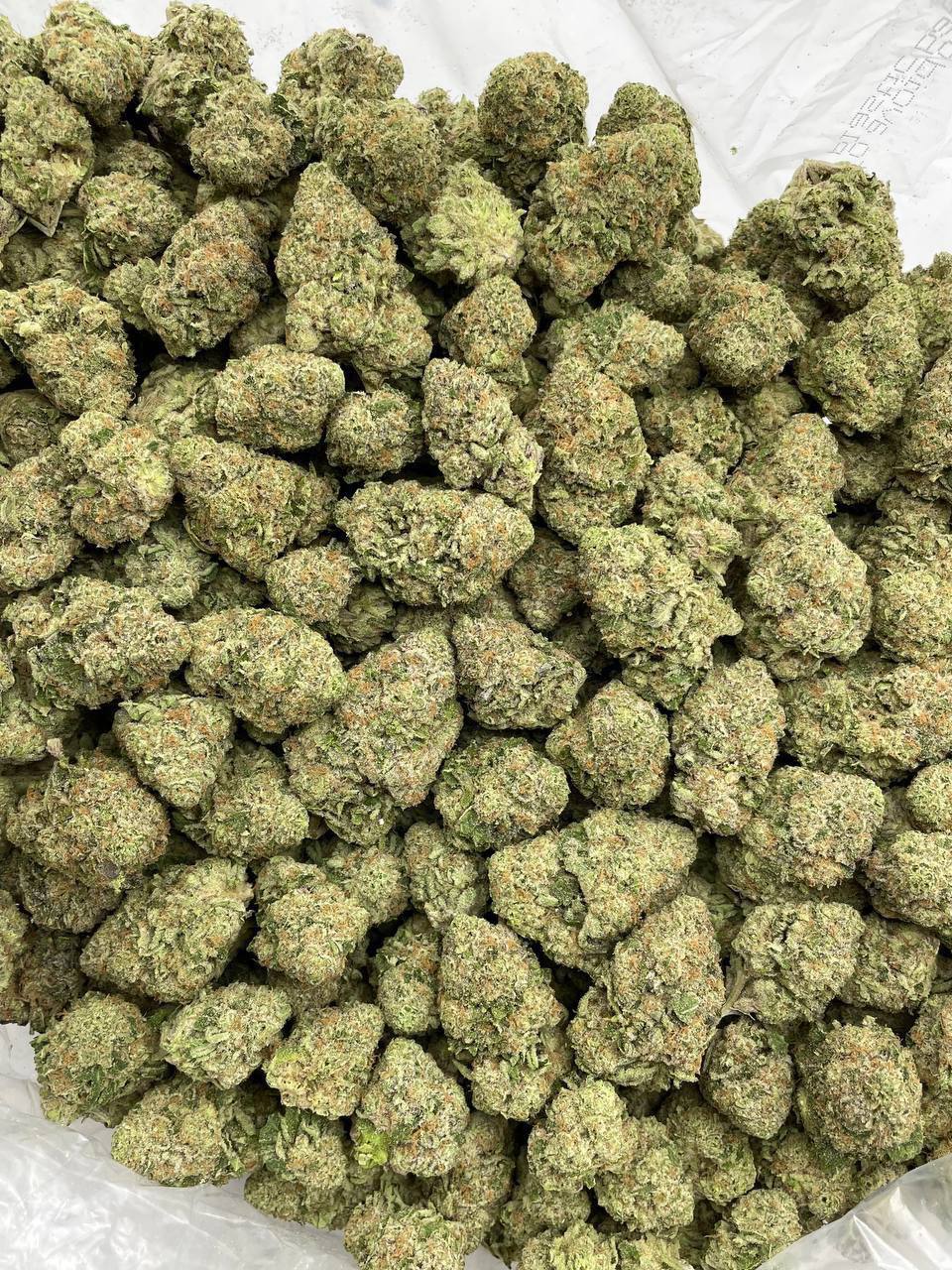 Melonade Zkittlez