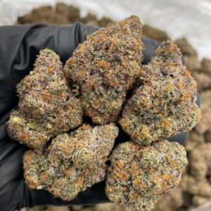 Alternative view of Jelly Donut