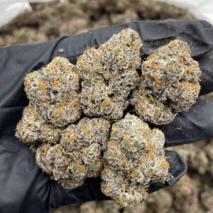 Alternative view of Blue Altoidz