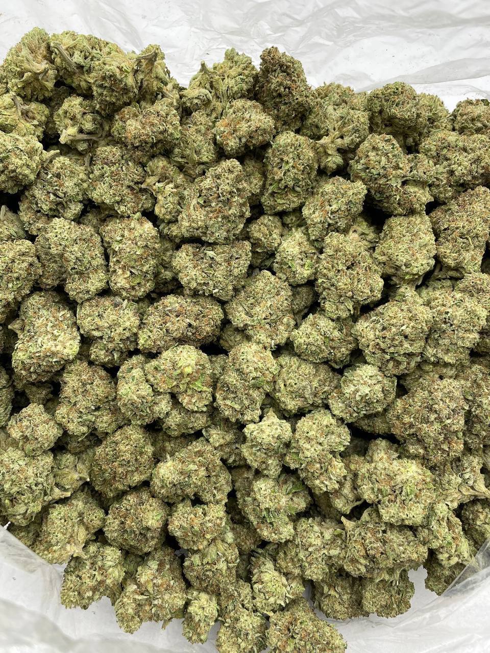 Frosted Flakes