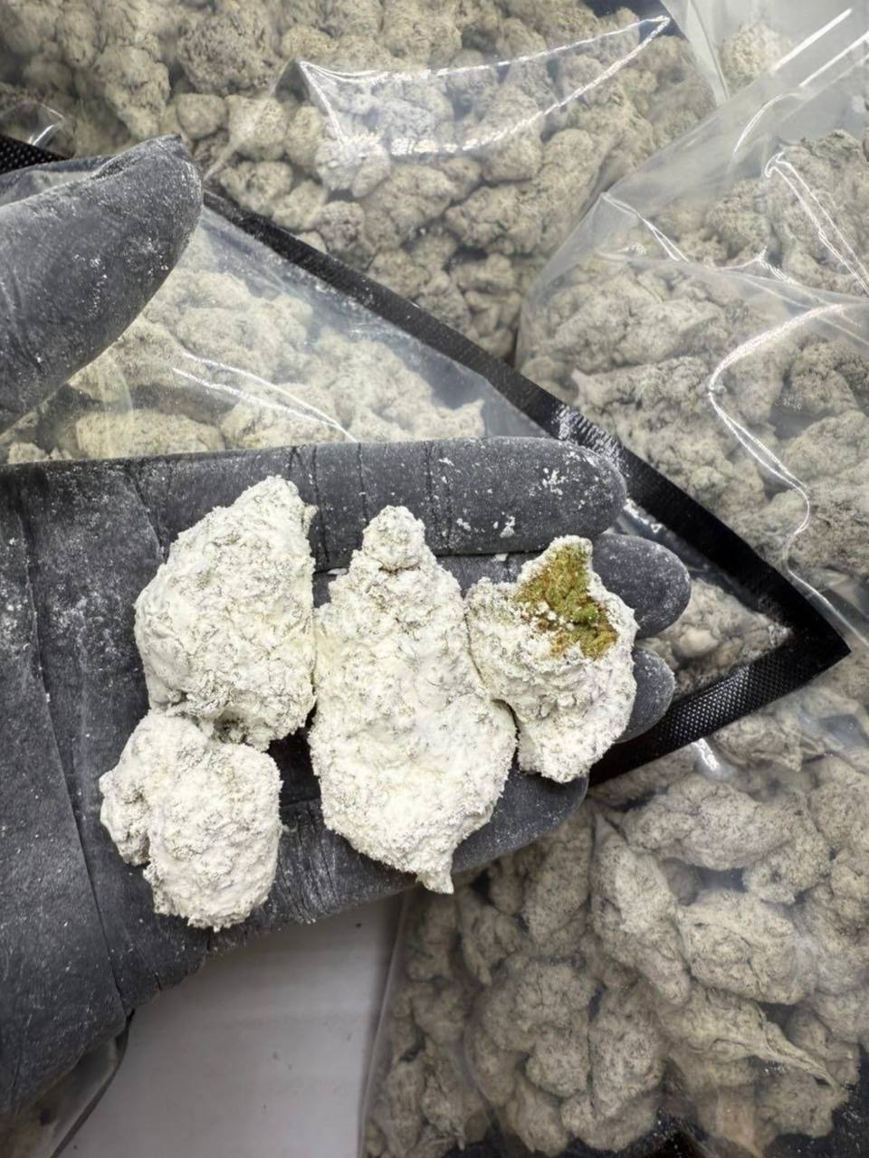 Snowballs ice caps - Image 2