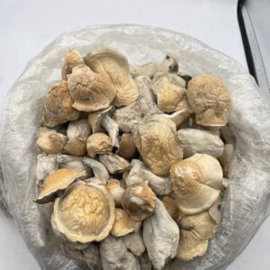 Ape mushrooms
