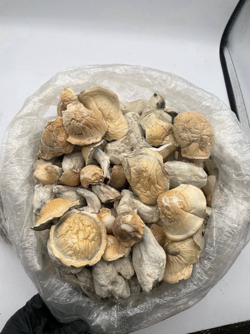 Ape mushrooms