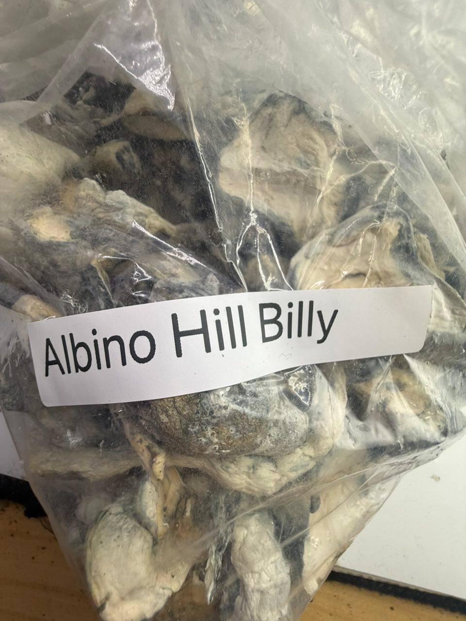 Albino hill billy shrooms - Image 2