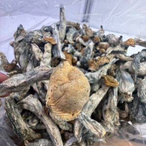 PSYCHEDELICS/LEAN/HASH